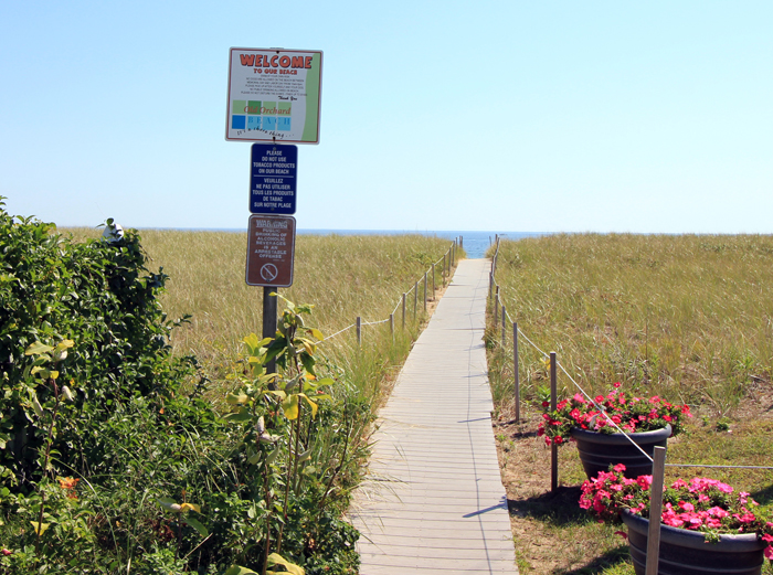 beach entrance walkway and grass around it