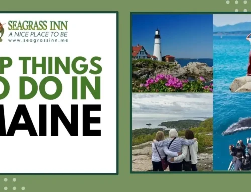 Top Things To Do In Maine