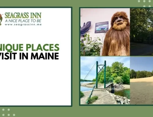 8 Unique Places To Visit In Maine