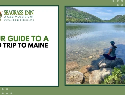 Your Guide to a Solo Trip to Maine