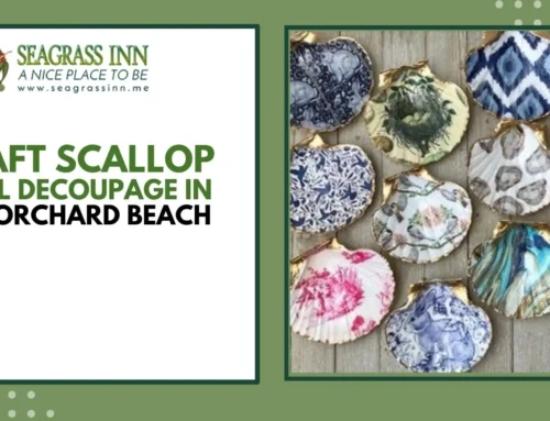 Craft Scallop Shell Decoupage in Old Orchard Beach
