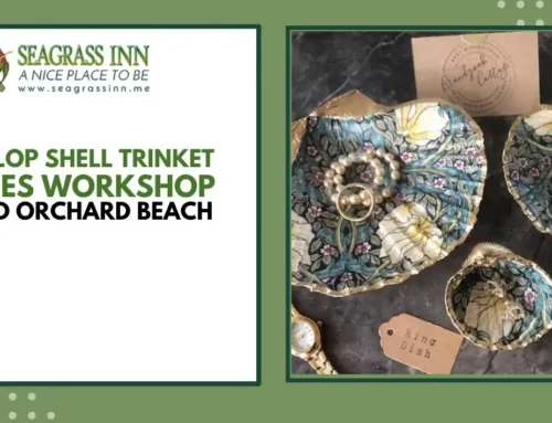 Scallop Shell Trinket Dishes Workshop in Old Orchard Beach