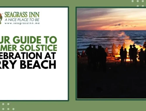 Your Guide to Summer Solstice Celebration at Ferry Beach