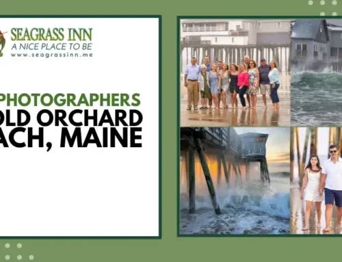 Top Photographers in Old Orchard Beach, Maine