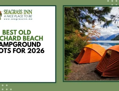 Best Old Orchard Beach Campground Spots for 2026
