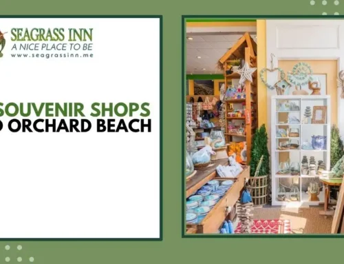 Best Souvenir Shops in Old Orchard Beach