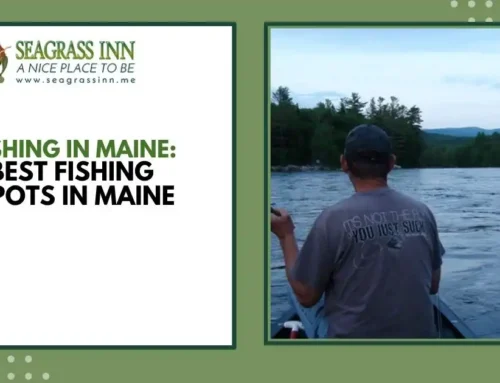 Fishing in Maine: Best Fishing Spots In Maine