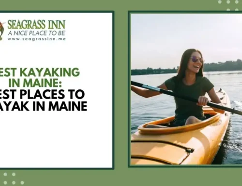 Best Kayaking in Maine: Best Places to Kayak in Maine