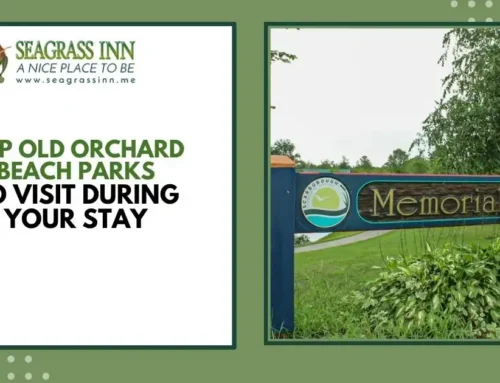 Top Old Orchard Beach Parks to Visit During Your Stay