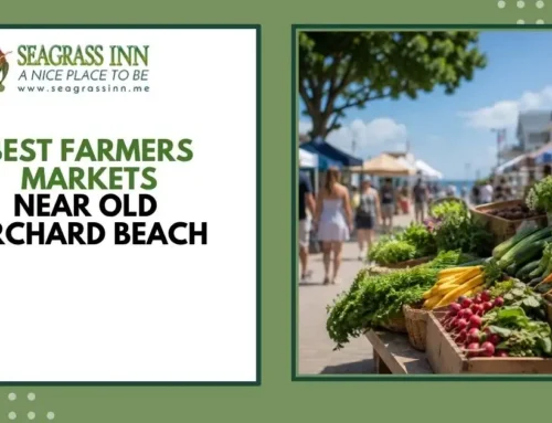 Best Farmers Markets Near Old Orchard Beach