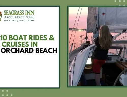 Top 10 Boat Rides & Cruises in Old Orchard Beach